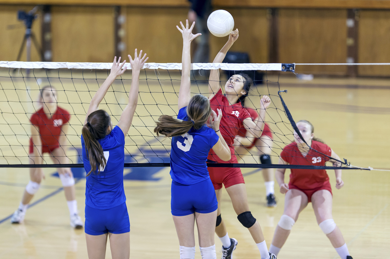 girls playing volleyball